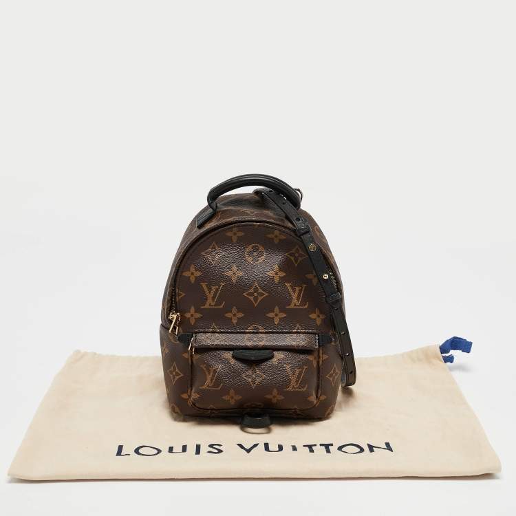 Pre Owned Louis Vuitton Monogram Canvas Mini Palm Springs Backpack