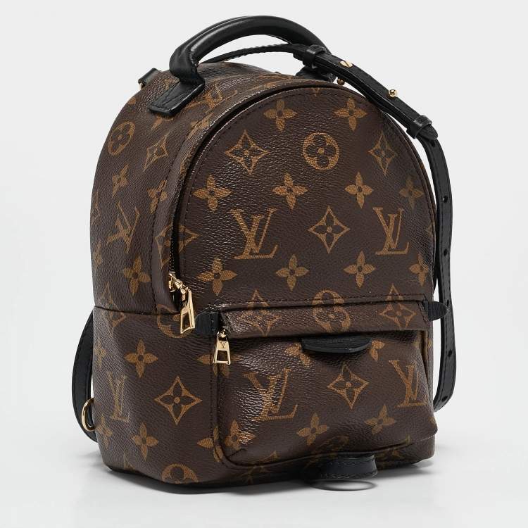 Pre Owned Louis Vuitton Monogram Canvas Mini Palm Springs Backpack