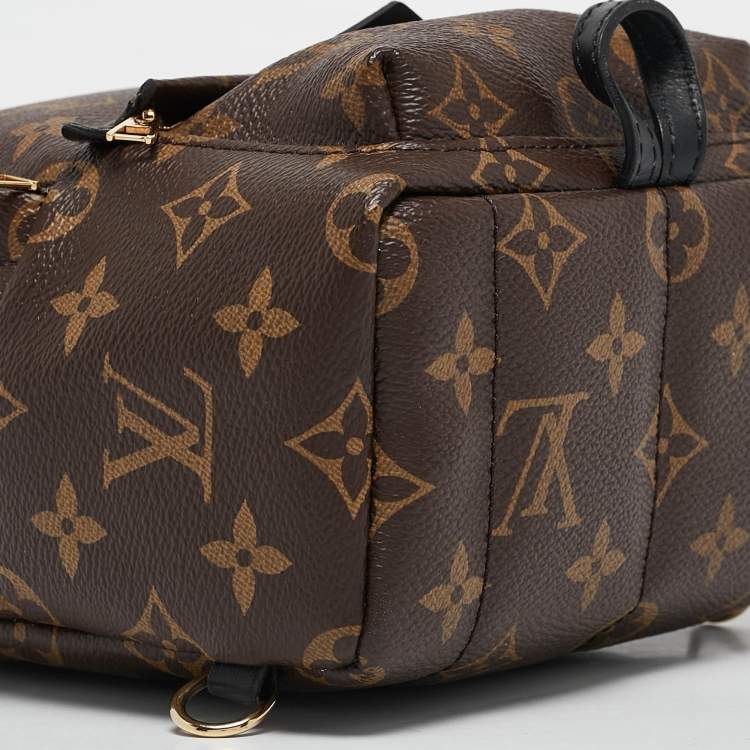 Pre Owned Louis Vuitton Monogram Canvas Mini Palm Springs Backpack