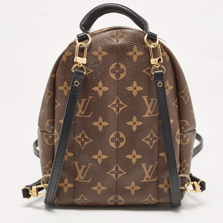 Pre Owned Louis Vuitton Monogram Canvas Mini Palm Springs Backpack