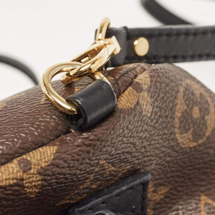 Pre Owned Louis Vuitton Monogram Canvas Mini Palm Springs Backpack