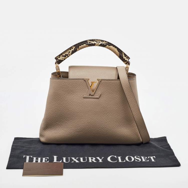 Pre Owned Louis Vuitton Galet Grey Python and Leather Capucines BB Bag