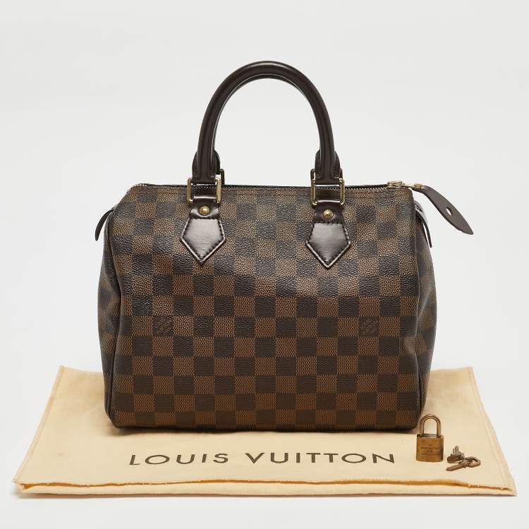Pre Owned Louis Vuitton Damiere Ebene Canvas Speedy 25 Bag