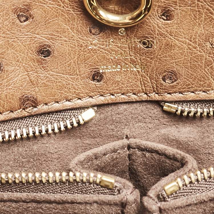 Pre Owned Louis Vuitton Monogram Canvas Limited Edition Etoile Exotique GM Bag