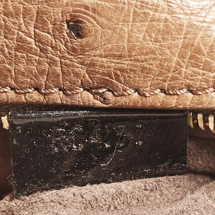 Pre Owned Louis Vuitton Monogram Canvas Limited Edition Etoile Exotique GM Bag