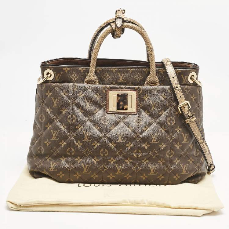 Pre Owned Louis Vuitton Monogram Canvas Limited Edition Etoile Exotique GM Bag