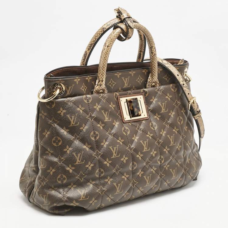 Pre Owned Louis Vuitton Monogram Canvas Limited Edition Etoile Exotique GM Bag
