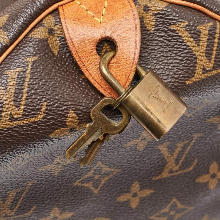 Pre Owned Louis Vuitton Monogram Canvas Speedy 30 Bag