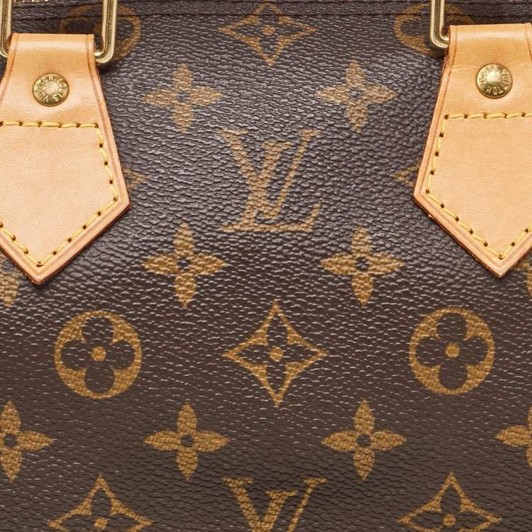 Pre Owned Louis Vuitton Monogram Canvas Speedy 25 Bag