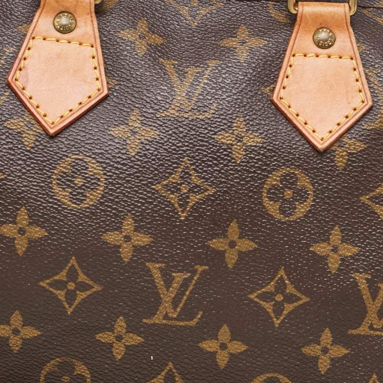 Pre Owned Louis Vuitton Monogram Canvas Speedy 25 Bag