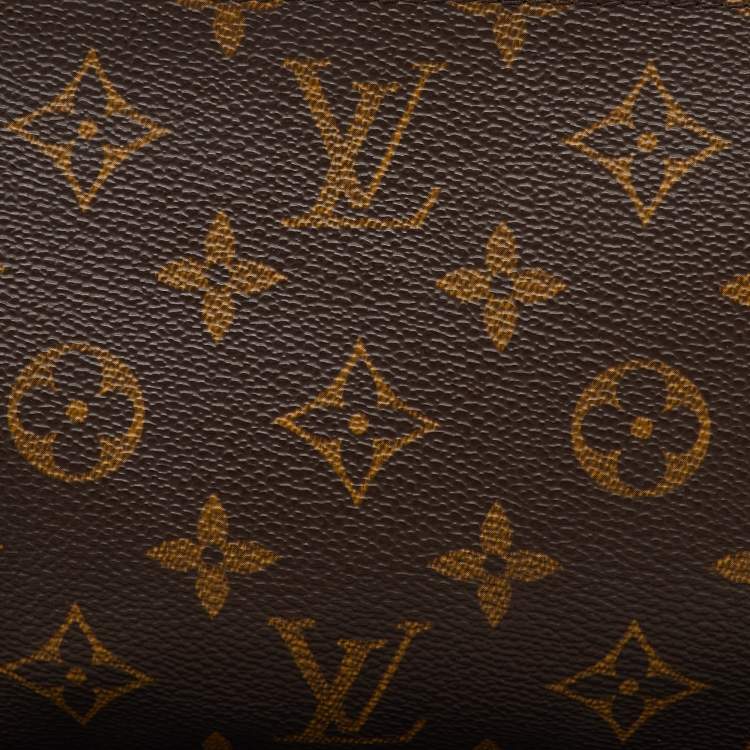 Pre Owned Louis Vuitton Monogram Canvas Pochette Accessoires Bag
