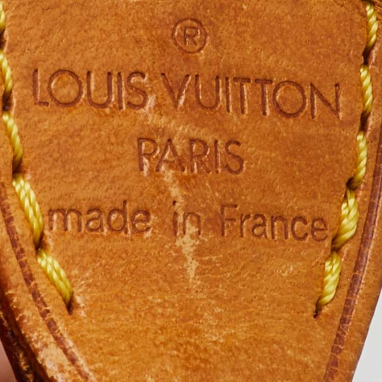Pre Owned Louis Vuitton Monogram Canvas Pochette Accessoires Bag