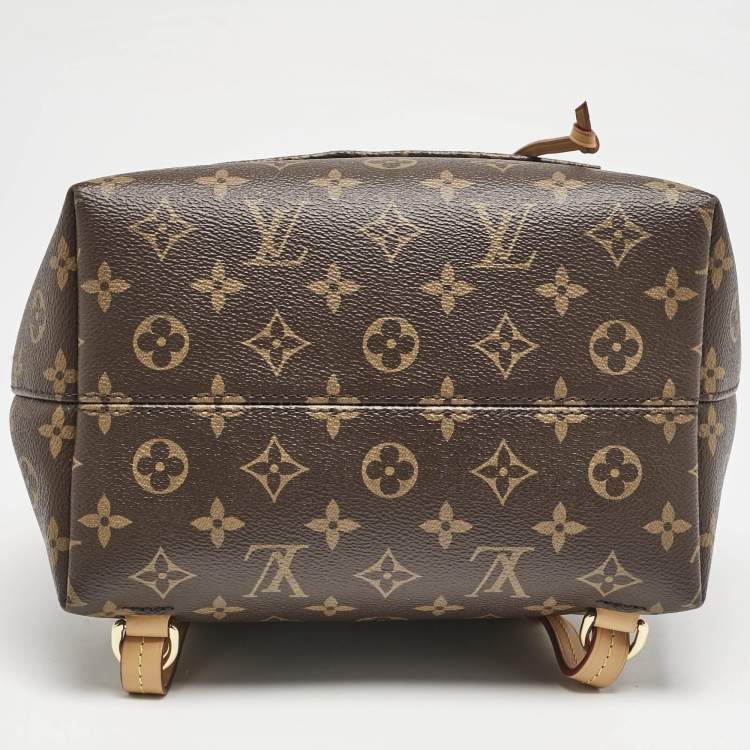 Pre Owned Louis Vuitton Monogram Canvas Montsouris PM Backpack