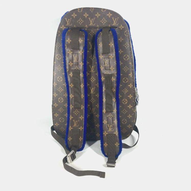 Pre Owned Louis Vuitton Blue Canvas Mouton Marc Newson Backpack