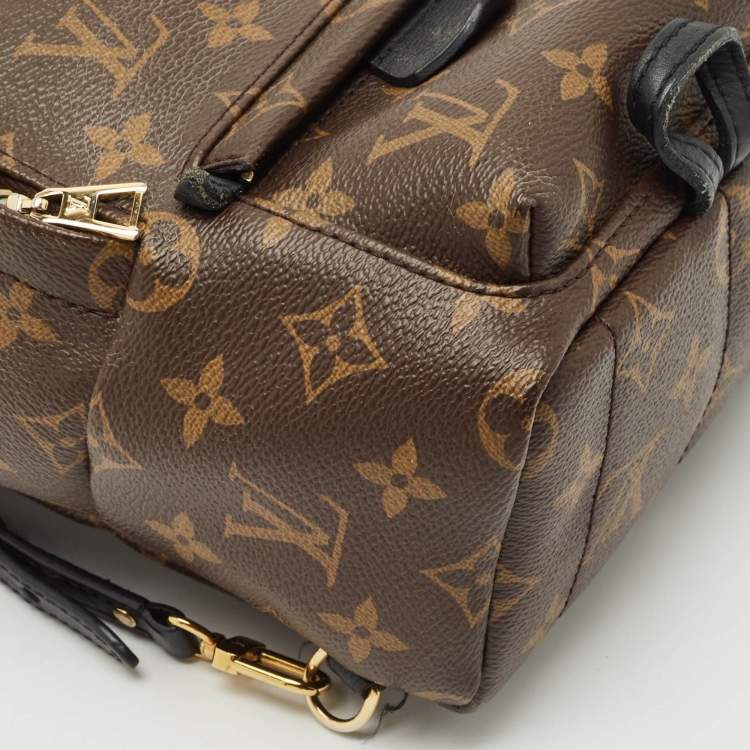 Pre Owned Louis Vuitton Monogram Canvas Mini Palm Springs Backpack