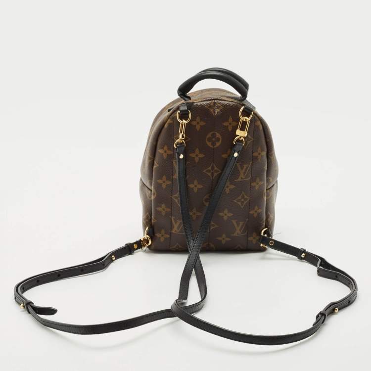 Pre Owned Louis Vuitton Monogram Canvas Mini Palm Springs Backpack