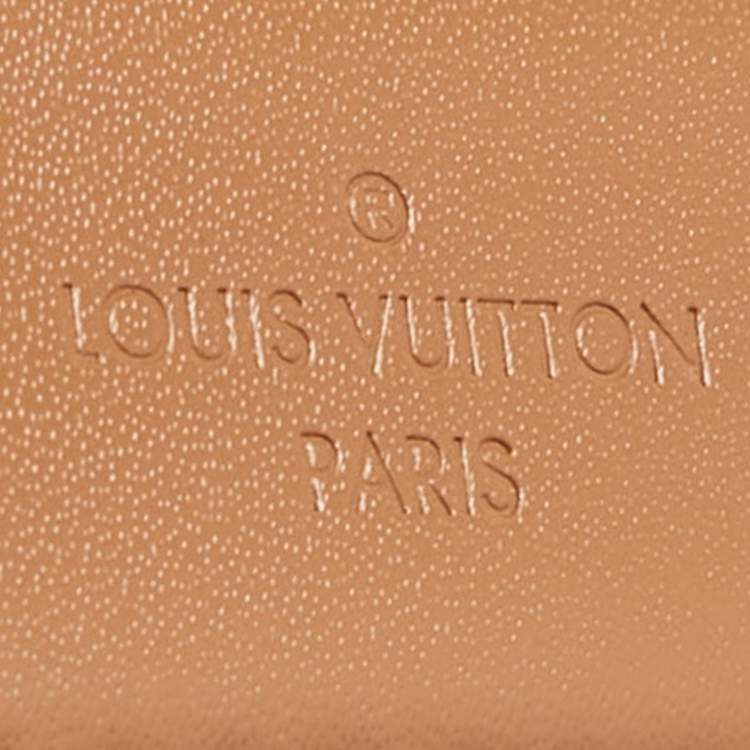Pre Owned Louis Vuitton Black/Brown Epi Leather Twist Bucket Bag