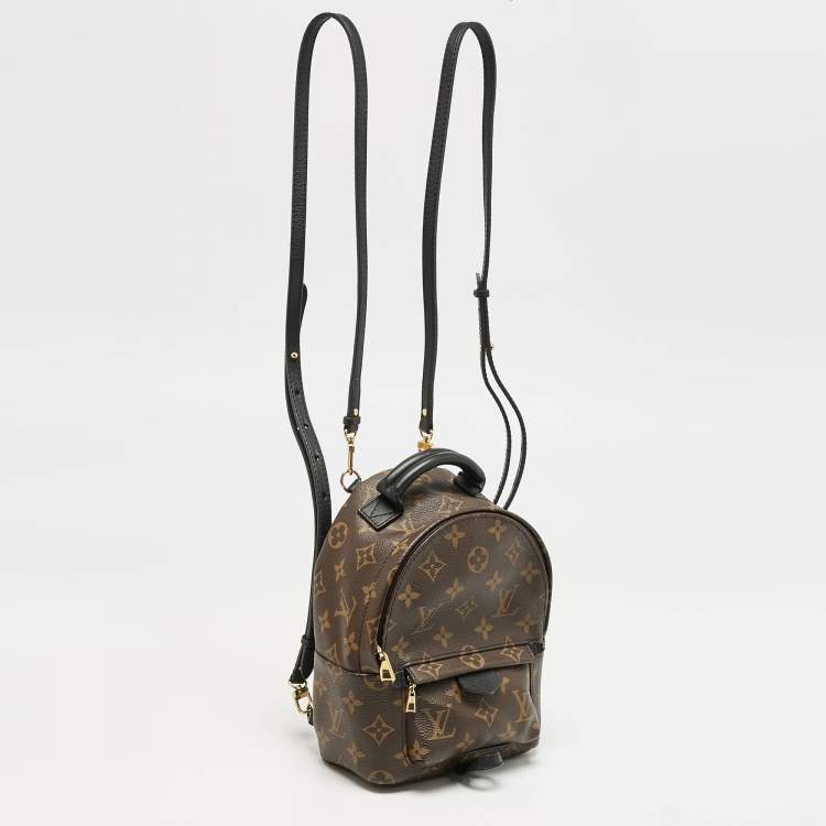 Pre Owned Louis Vuitton Monogram Canvas Mini Palm Springs Backpack