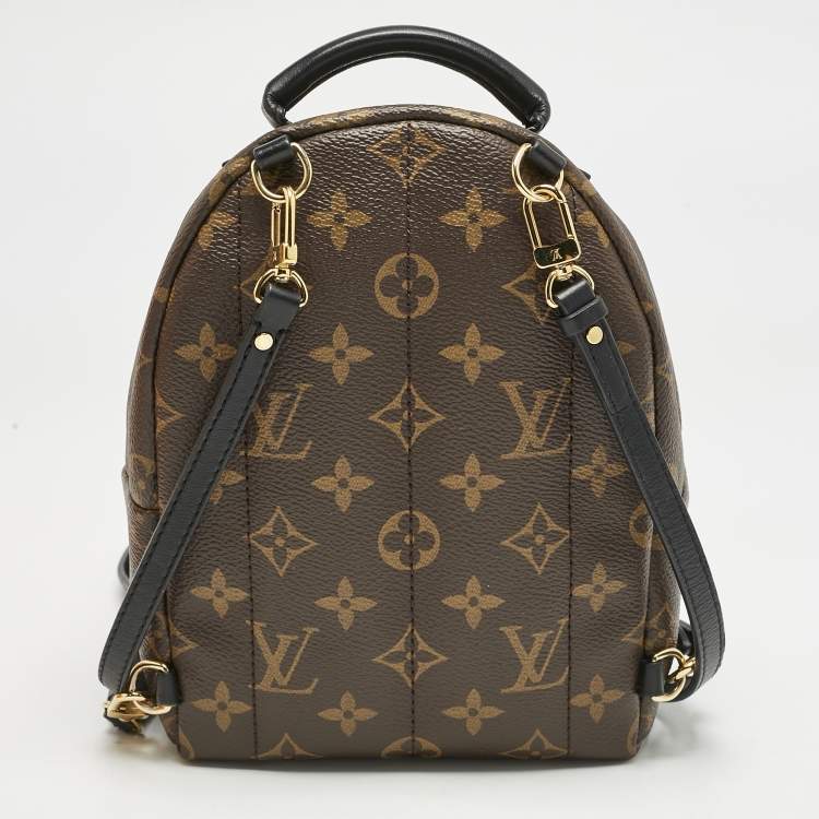 Pre Owned Louis Vuitton Monogram Canvas Mini Palm Springs Backpack