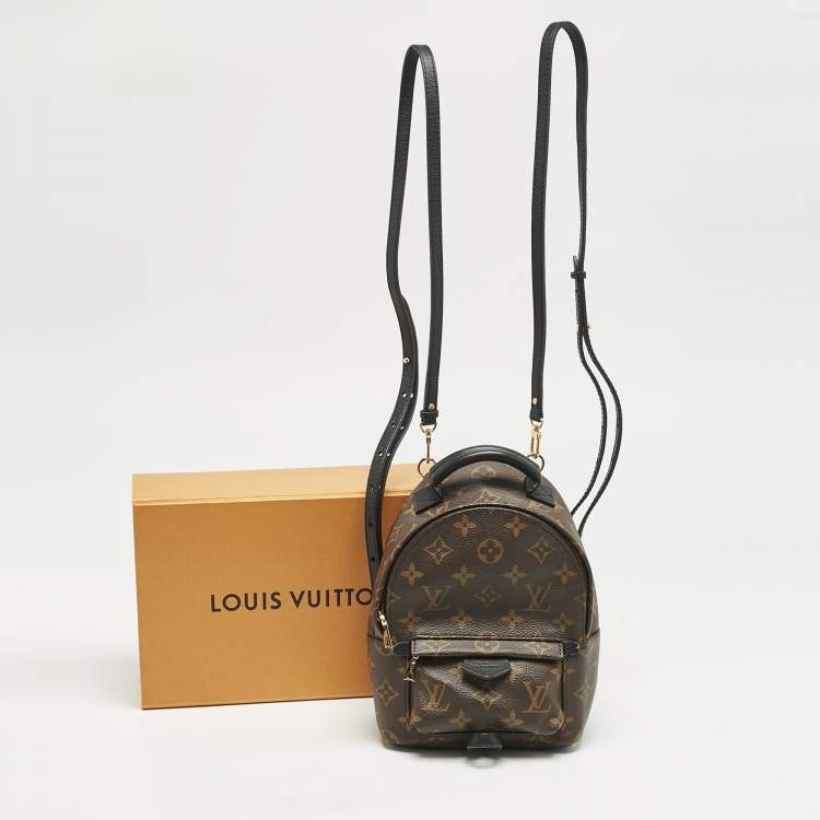 Pre Owned Louis Vuitton Monogram Canvas Mini Palm Springs Backpack