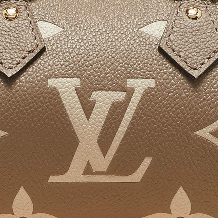 Pre Owned Louis Vuitton Tourterelle Gray/Cream Monogram Empreinte Leather Nano Speedy Bag