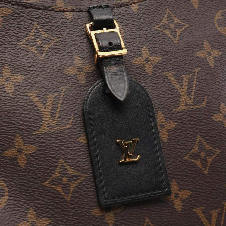 Pre Owned Louis Vuitton Brown Monogram Canvas Odeon NM PM Shoulder Bag 