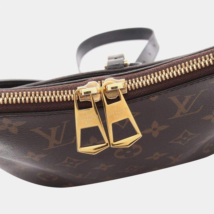 Pre Owned Louis Vuitton Brown Monogram Canvas Odeon NM PM Shoulder Bag 