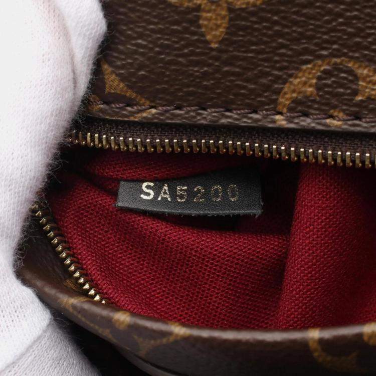 Pre Owned Louis Vuitton Brown Black Coated Canvas Leather Montsouris NM PM Backpack