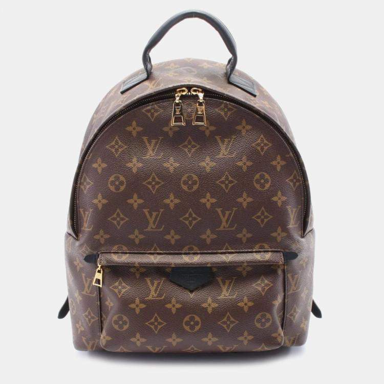 Pre Owned Louis Vuitton Brown Coated Canvas Leather Monogram Palm Springs Backpack MM Bag