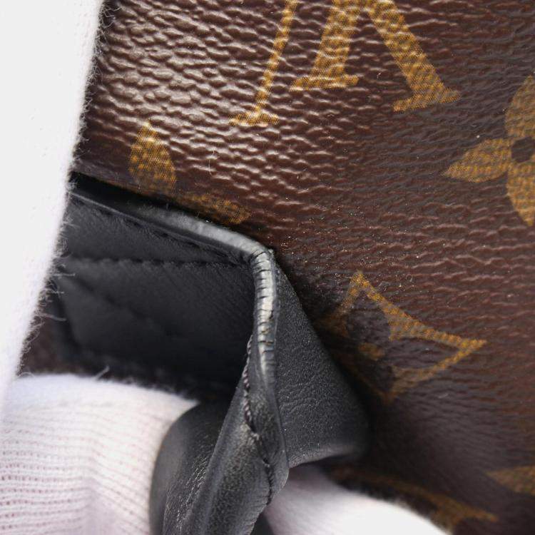 Pre Owned Louis Vuitton Brown Coated Canvas Leather Monogram Palm Springs Backpack MM Bag