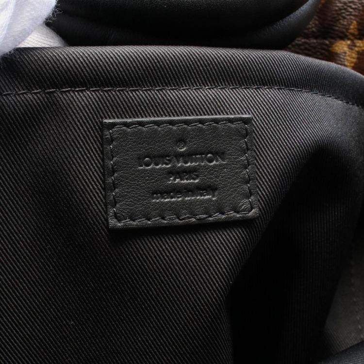 Pre Owned Louis Vuitton Brown Coated Canvas Leather Monogram Palm Springs Backpack MM Bag