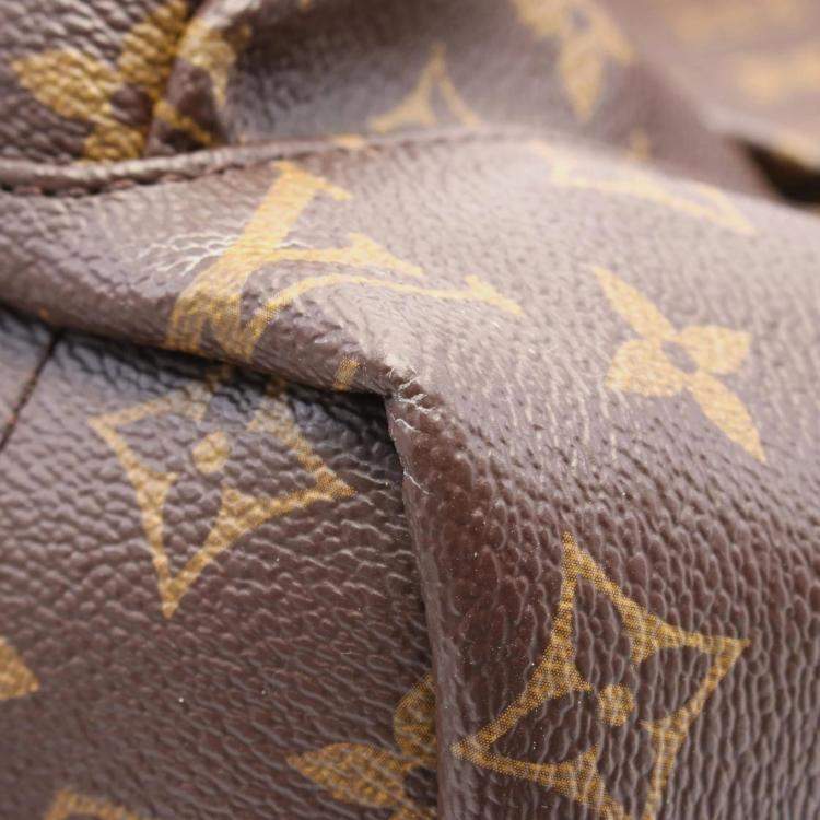 Pre Owned Louis Vuitton Brown Coated Canvas Leather Monogram Palm Springs Backpack MM Bag