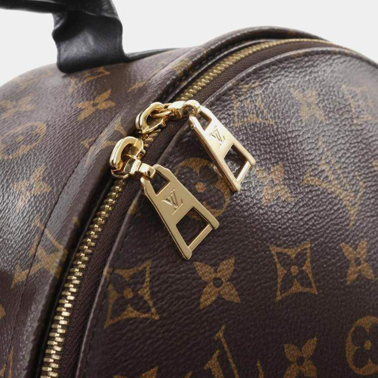Pre Owned Louis Vuitton Brown Coated Canvas Leather Monogram Palm Springs Backpack 