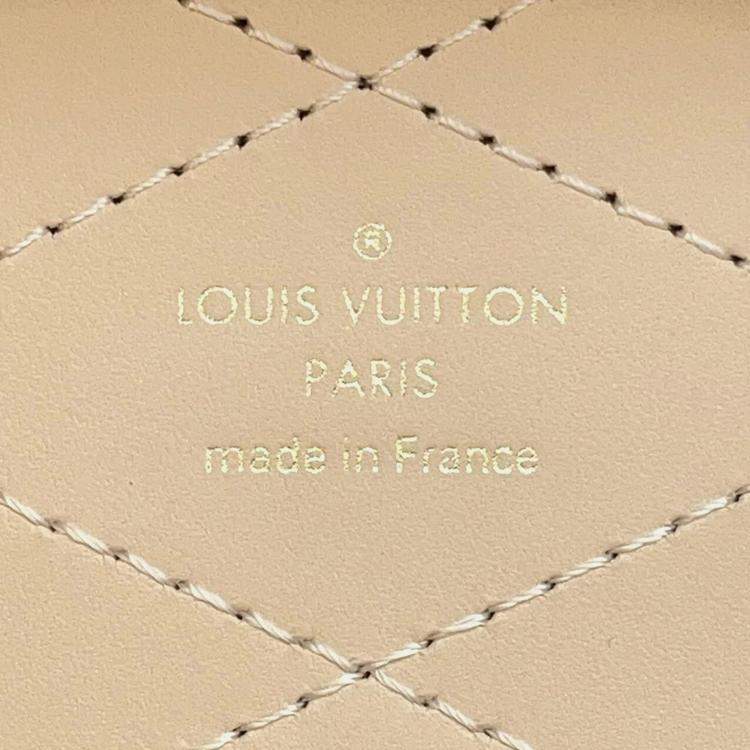Pre Owned Louis Vuitton Brown Monogram Canvas Camera Box Bag
