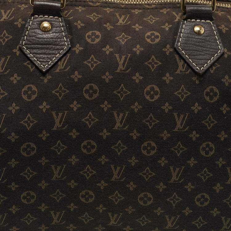Pre Owned Louis Vuitton Fusain Monogram Mini Lin Canvas Speedy 30 Bag