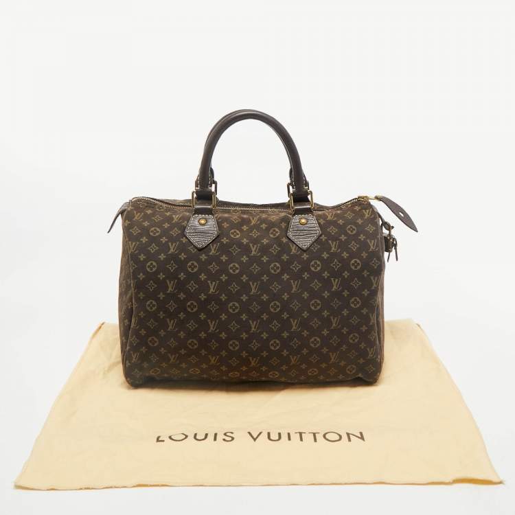 Pre Owned Louis Vuitton Fusain Monogram Mini Lin Canvas Speedy 30 Bag