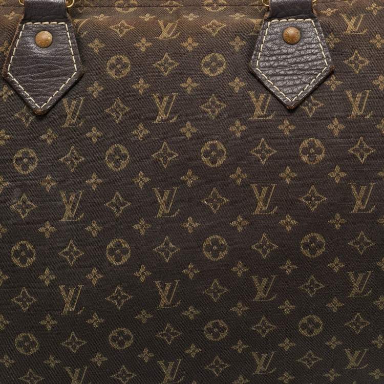 Pre Owned Louis Vuitton Fusain Monogram Mini Lin Canvas Speedy 30 Bag