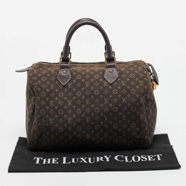 Pre Owned Louis Vuitton Fusain Monogram Mini Lin Canvas Speedy 30 Bag
