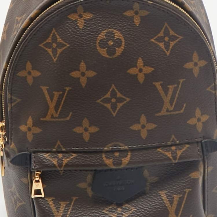Pre Owned Louis Vuitton Monogram Canvas Mini Palm Springs Backpack