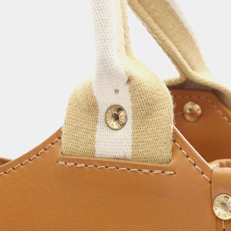 Pre Owned Louis Vuitton Beige Canvas Mini Monogram Sac Catherine Handbag
