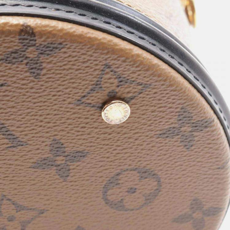 Pre Owned Louis Vuitton Cannes Brown Black Coated Canvas Leather Handbag