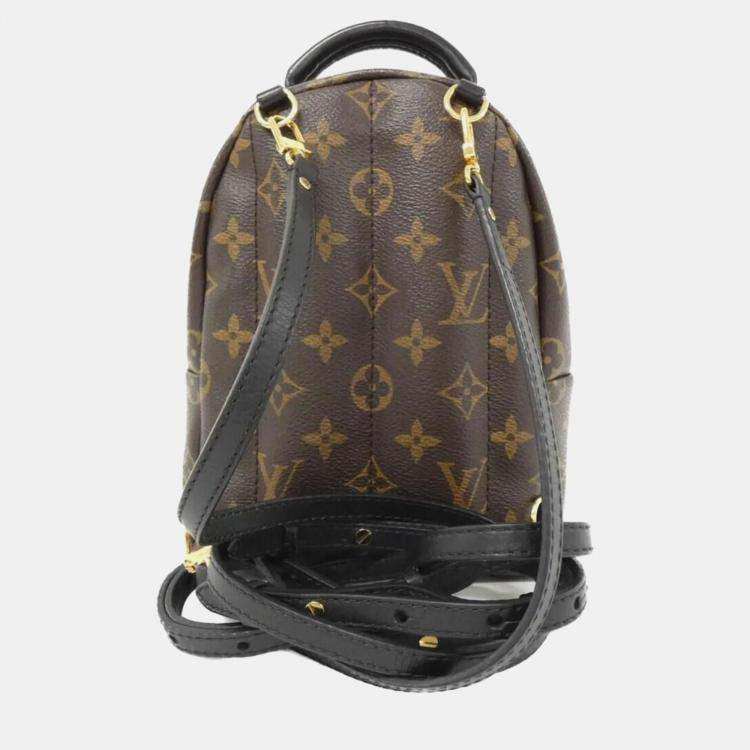 Pre Owned Louis Vuitton Palm Springs Monogram World Tour Mini Backpack 