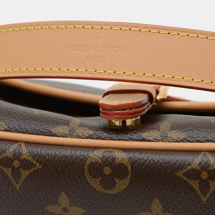 Pre Owned Louis Vuitton Diane PM Brown Monogram Canvas Shoulder Bag