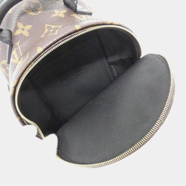 Pre Owned Louis Vuitton Palm Springs Mini Brown Monogram Canvas Backpack