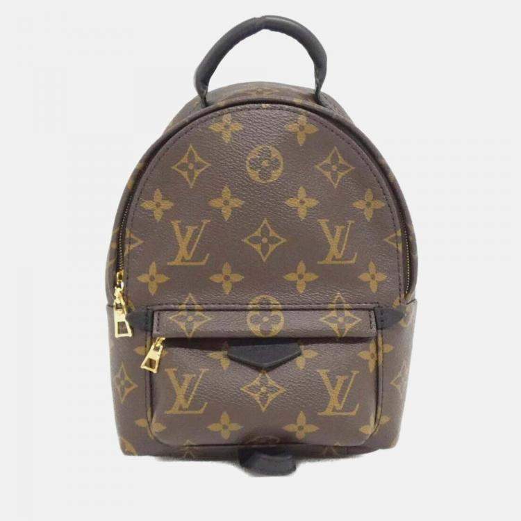 Pre Owned Louis Vuitton Palm Springs Mini Brown Monogram Backpack 