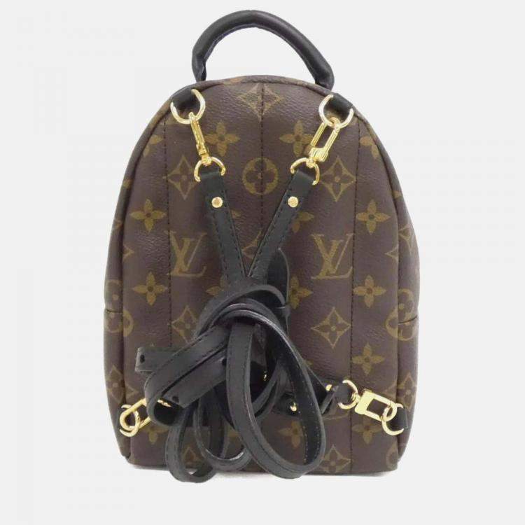 Pre Owned Louis Vuitton Palm Springs Mini Brown Monogram Backpack 