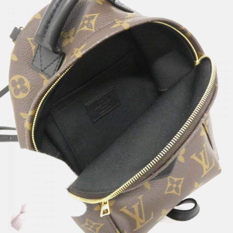 Pre Owned Louis Vuitton Palm Springs Mini Brown Monogram Backpack 