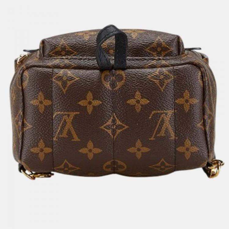 Pre Owned Louis Vuitton Palm Springs Mini Brown Black PVC Leather Backpack