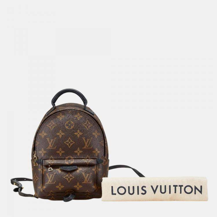 Pre Owned Louis Vuitton Palm Springs Mini Brown Black PVC Leather Backpack