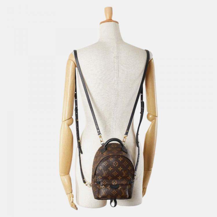 Pre Owned Louis Vuitton Palm Springs Mini Brown Black PVC Leather Backpack